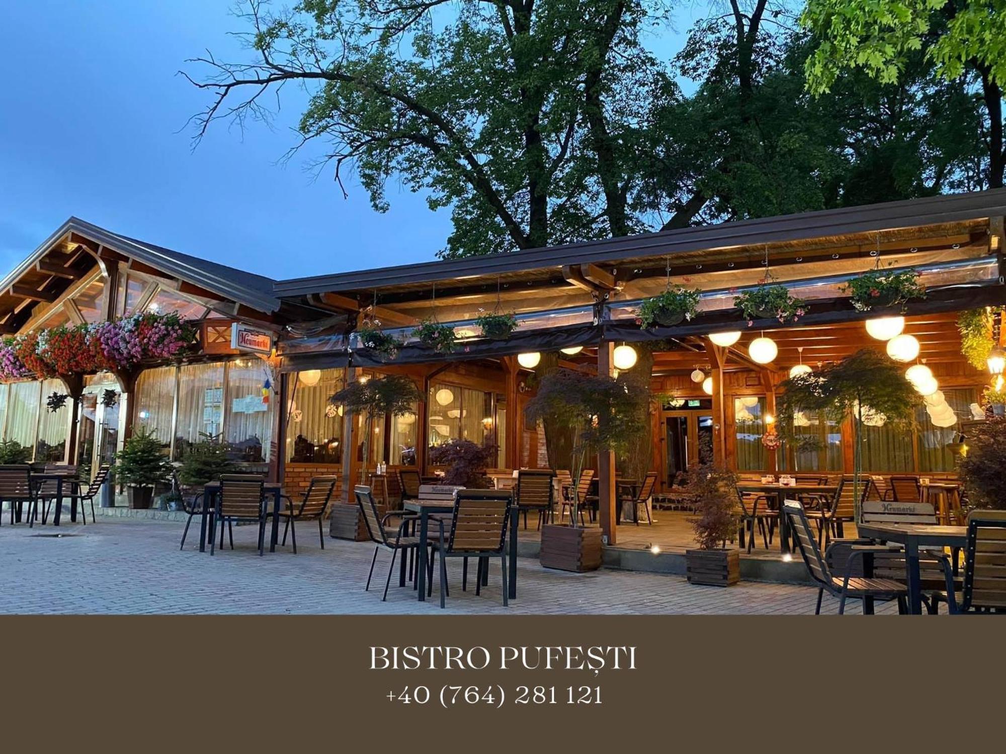 Cosy Apartments & Bistro Pufesti Ngoại thất bức ảnh